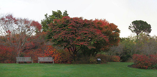 autumn2